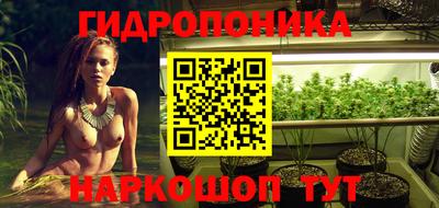 spice Кандалакша