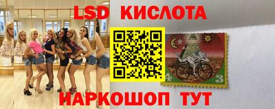 spice Кандалакша
