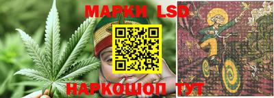 spice Кандалакша