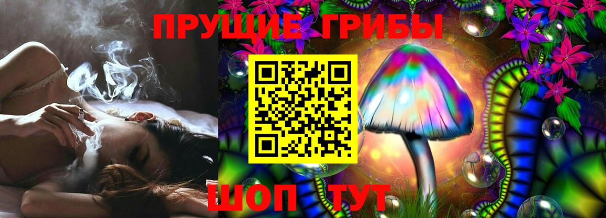 Галлюциногенные грибы прущие грибы  Вход с VPN  Псилоцибиновые грибы мицелий  Клин 